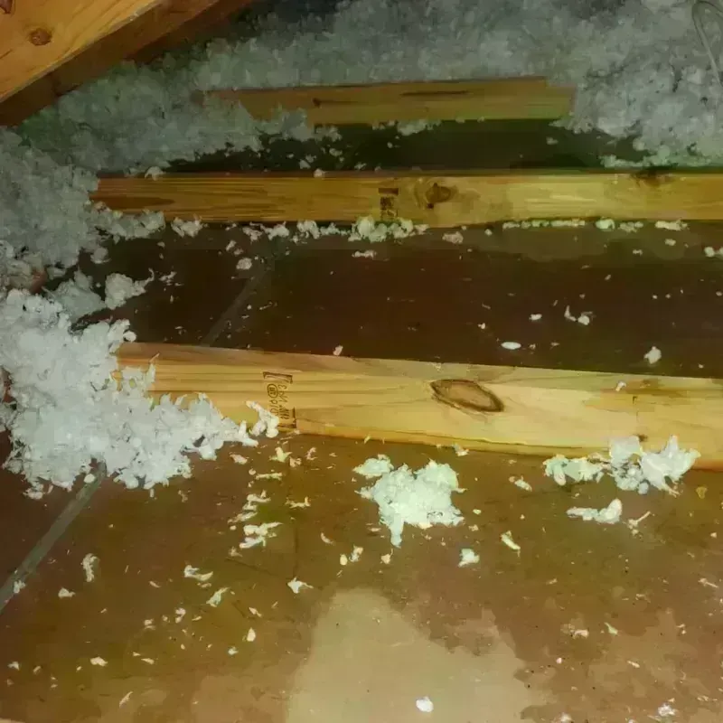 Attic Water Damage in Little Falls, NJ