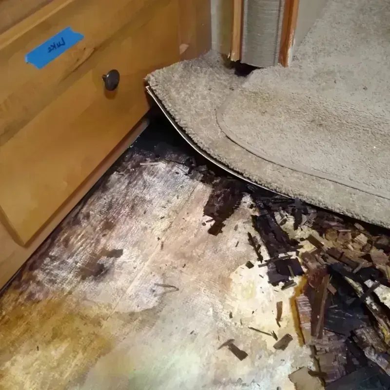 Wood Floor Water Damage in Little Falls, NJ